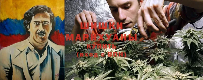 Канабис Ganja  где купить наркотик  Нарьян-Мар 